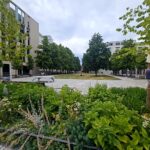 Modellprojekt Hegelplatz in Berlin-Mitte für eine klimaresiliente Schwammstadt (Foto: C. Grosse)