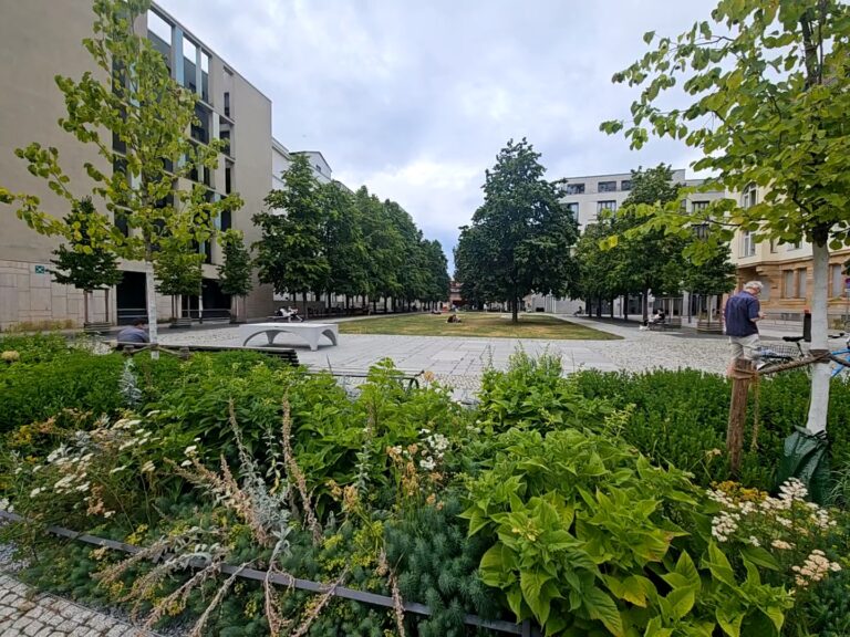 Modellprojekt Hegelplatz in Berlin-Mitte für eine klimaresiliente Schwammstadt (Foto: C. Grosse)