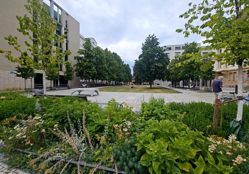 Modellprojekt Hegelplatz in Berlin-Mitte für eine klimaresiliente Schwammstadt (Foto: C. Grosse)